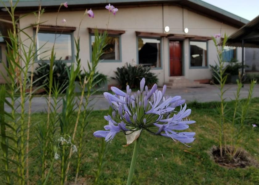 Alajuela Escazu Living Area