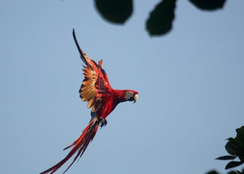 Puntarenas Carate Exterior Detail