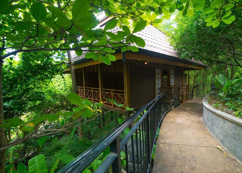 Guanacaste Nosara Yoga Centre