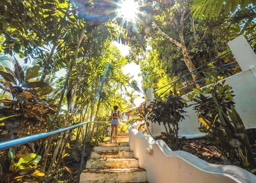 Puntarenas Manuel Antonio Garden