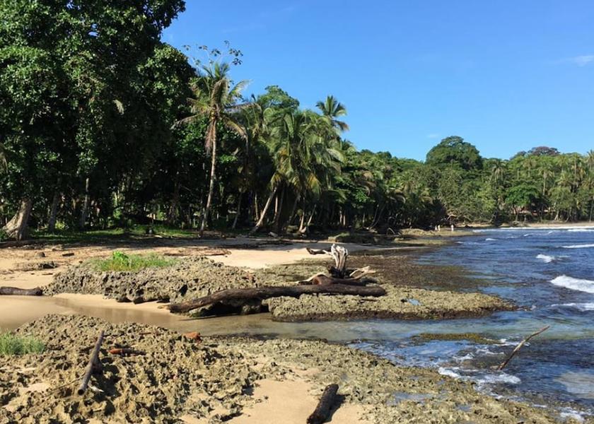 Limón Province Cahuita Beach