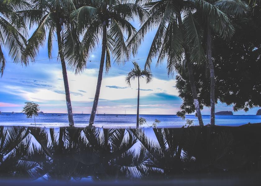 Guanacaste Coco Land View from Property