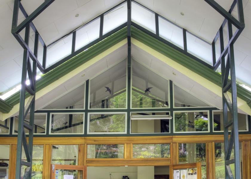 Puntarenas San Vito Primary image