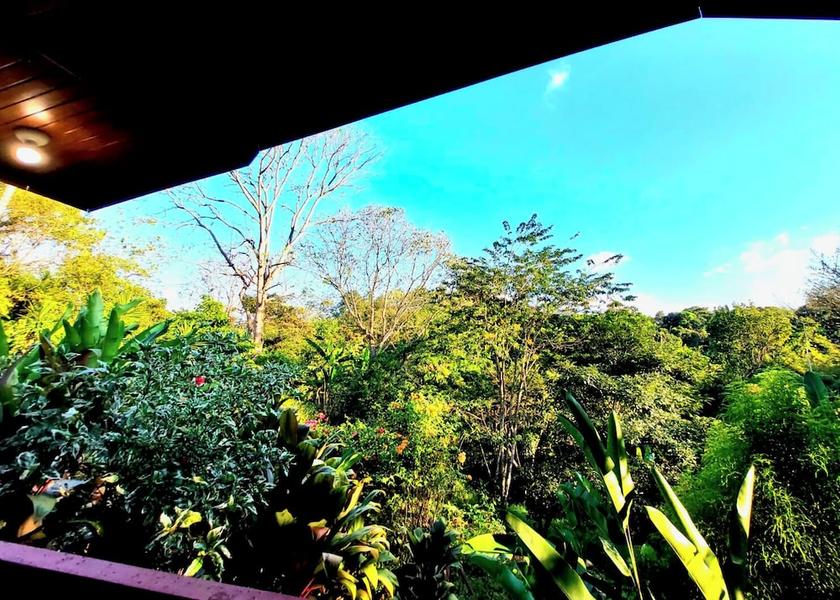 Alajuela Atenas View From Room