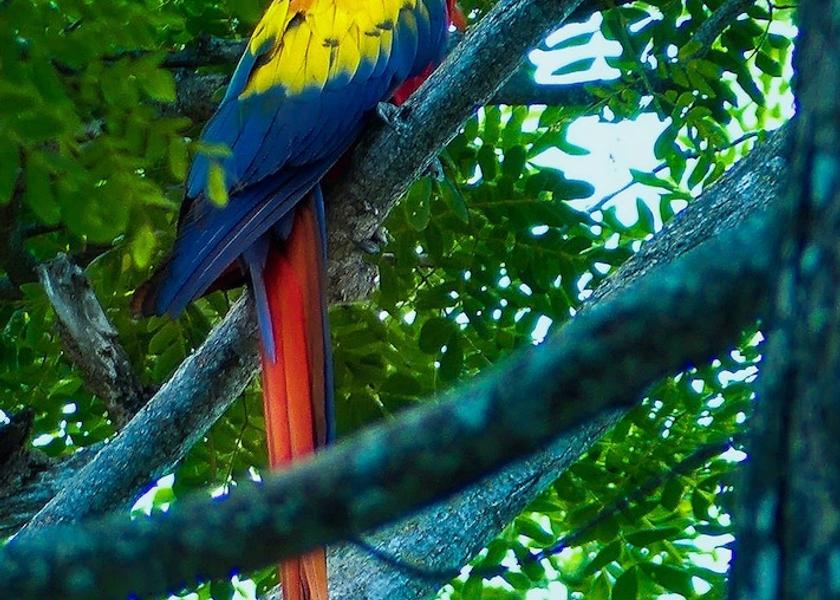 Puntarenas Parrita Exterior Detail