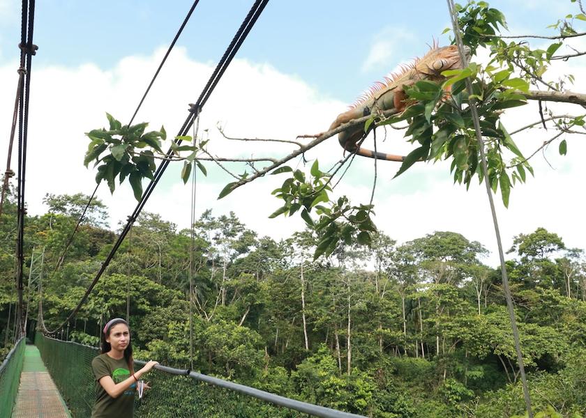 Heredia Sarapiqui Exterior Detail