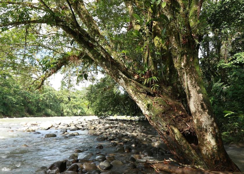 Heredia Sarapiqui Exterior Detail