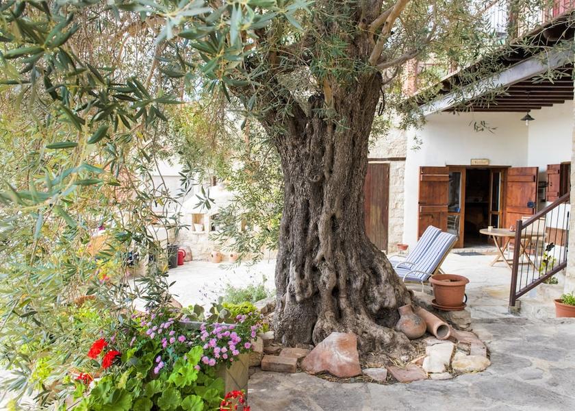Limassol Vouni Courtyard