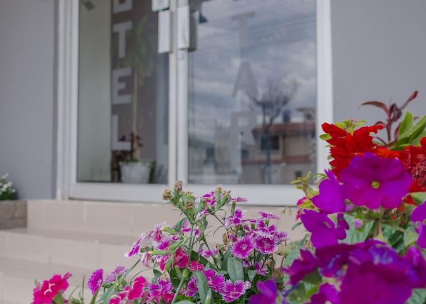 Chimborazo Riobamba Terrace