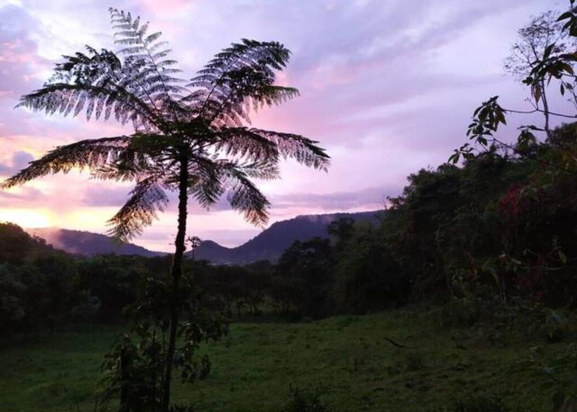  Mindo Exterior Detail