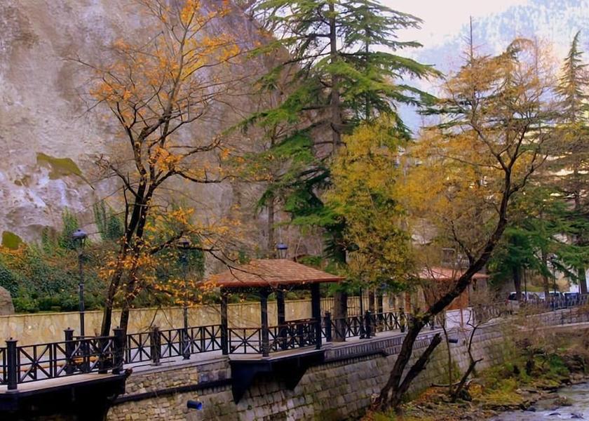  Borjomi Property Grounds