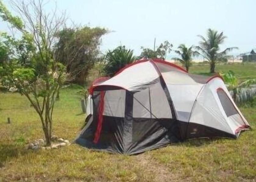  Bortianor Exterior Detail