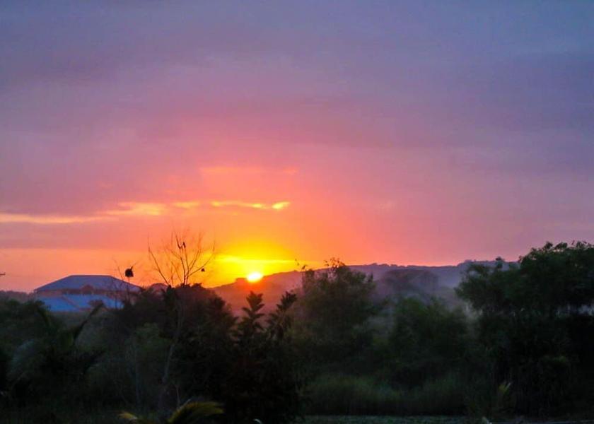  Bortianor Exterior Detail