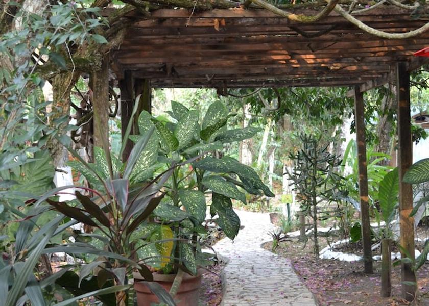 Peten Tikal National Park Reception
