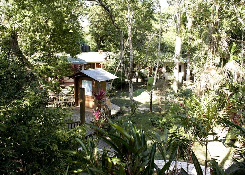 Peten Tikal National Park Exterior Detail