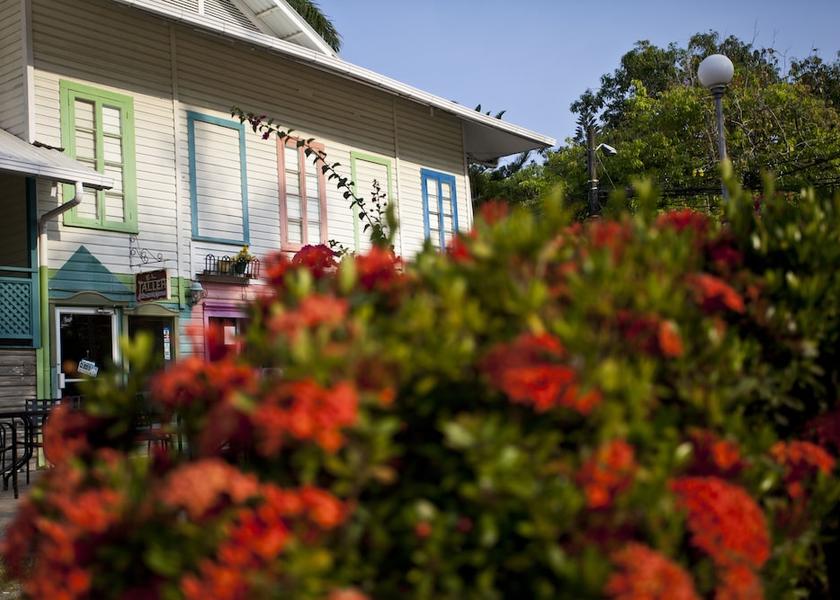 Atlántida Tela Exterior