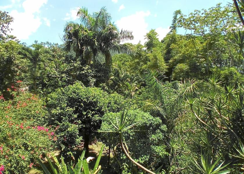Atlantida La Ceiba Aerial View
