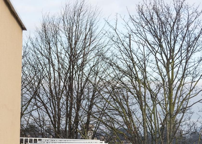 Dublin (region) Dublin Balcony