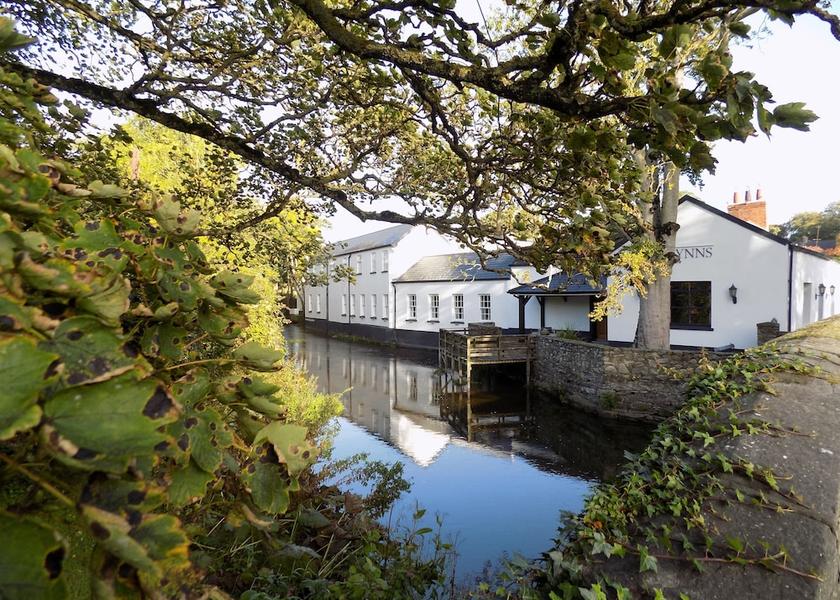 County Louth Termonfeckin Primary image