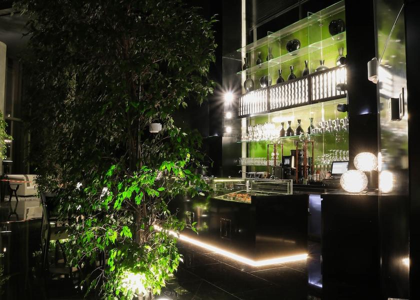 Amman Governorate Amman Bar