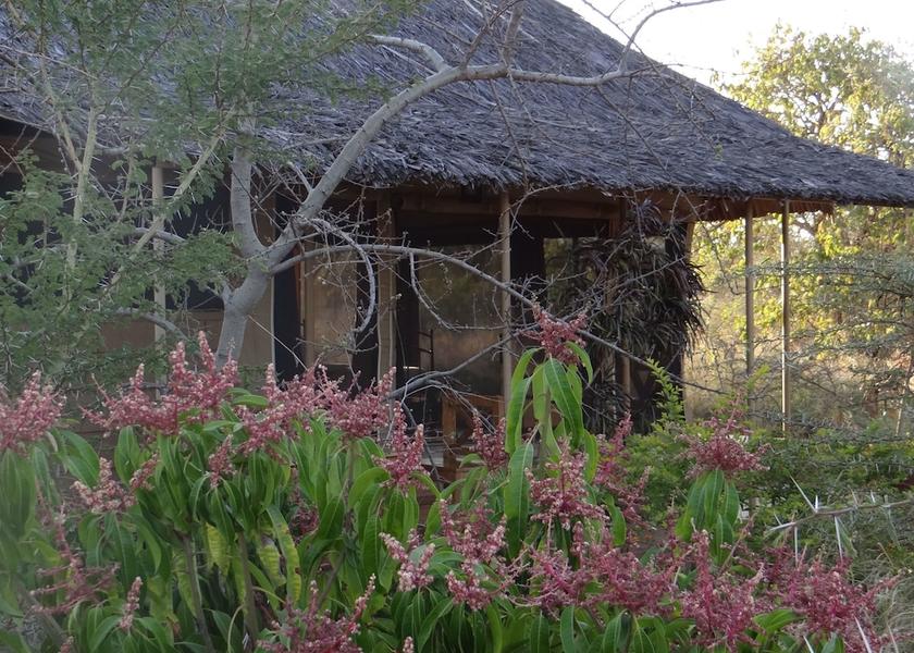  Meru National Park Garden