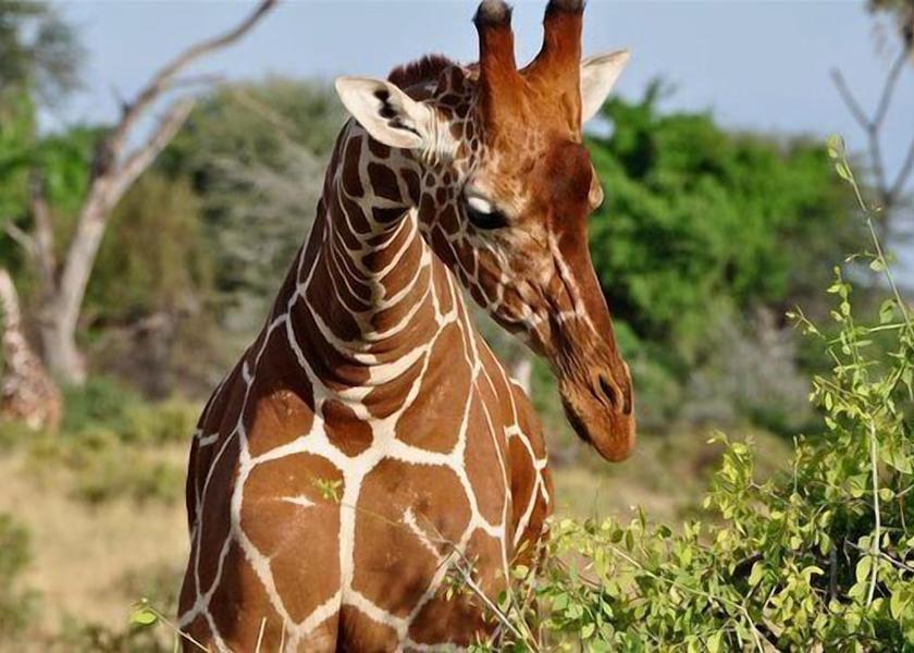 Narok County Maasai Mara Property Grounds
