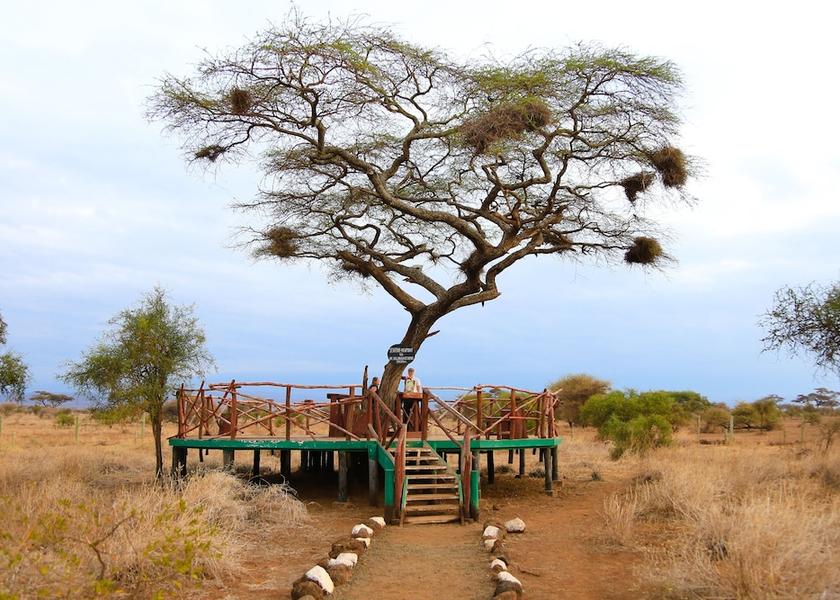  Amboseli Barbeque