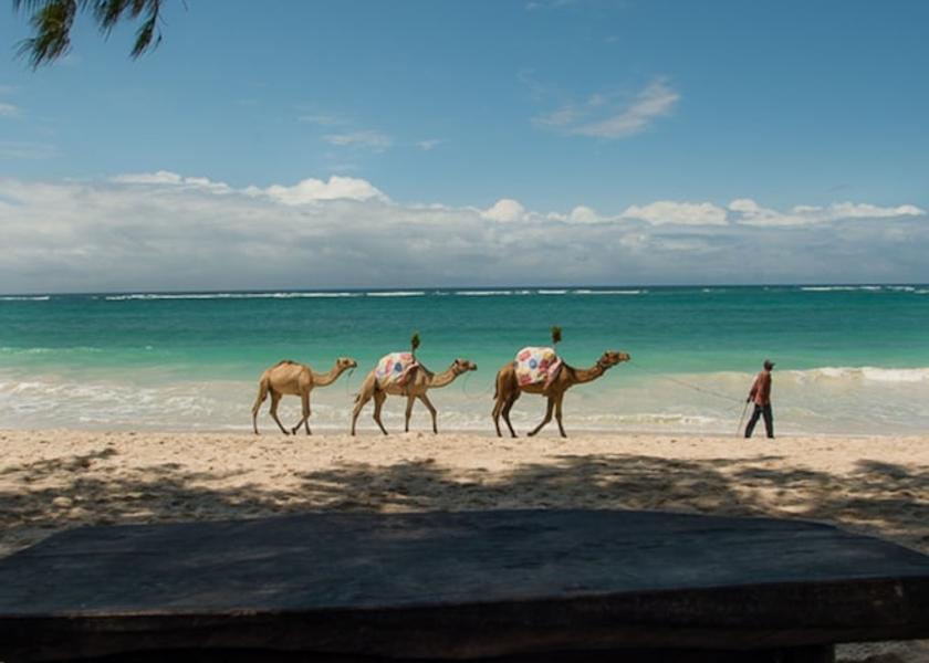 Kwale County Diani Beach Beach