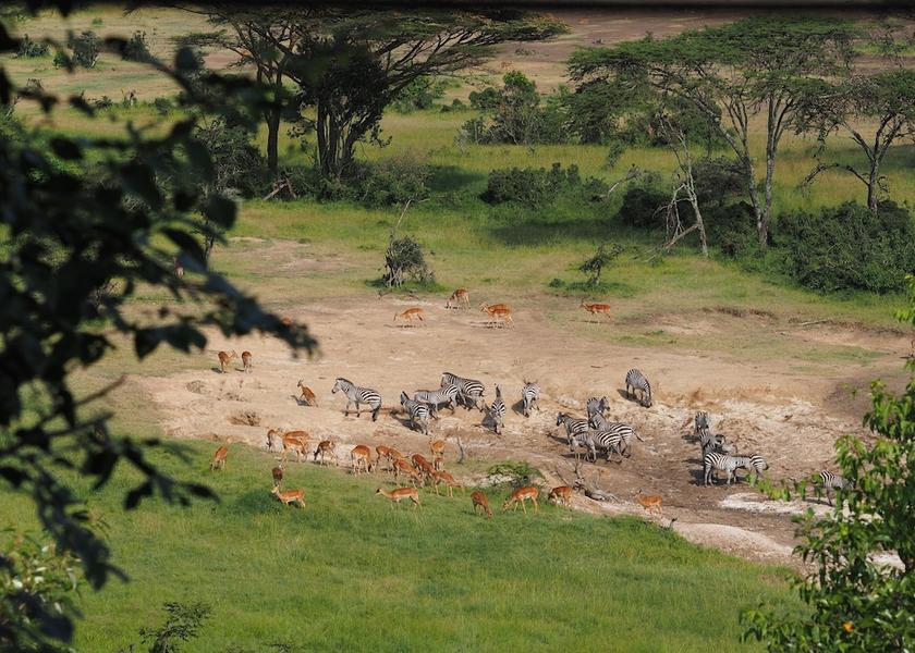 Narok County Maasai Mara Exterior Detail