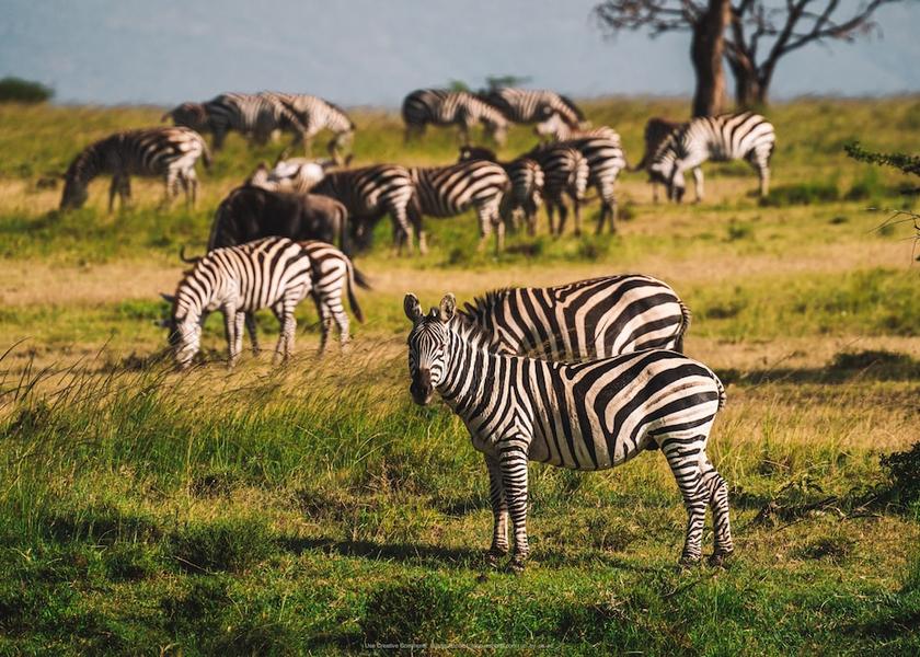 Narok County Maasai Mara Exterior Detail