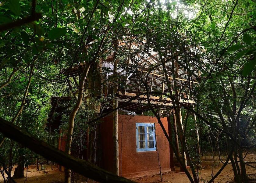 Central Province Sigiriya Room