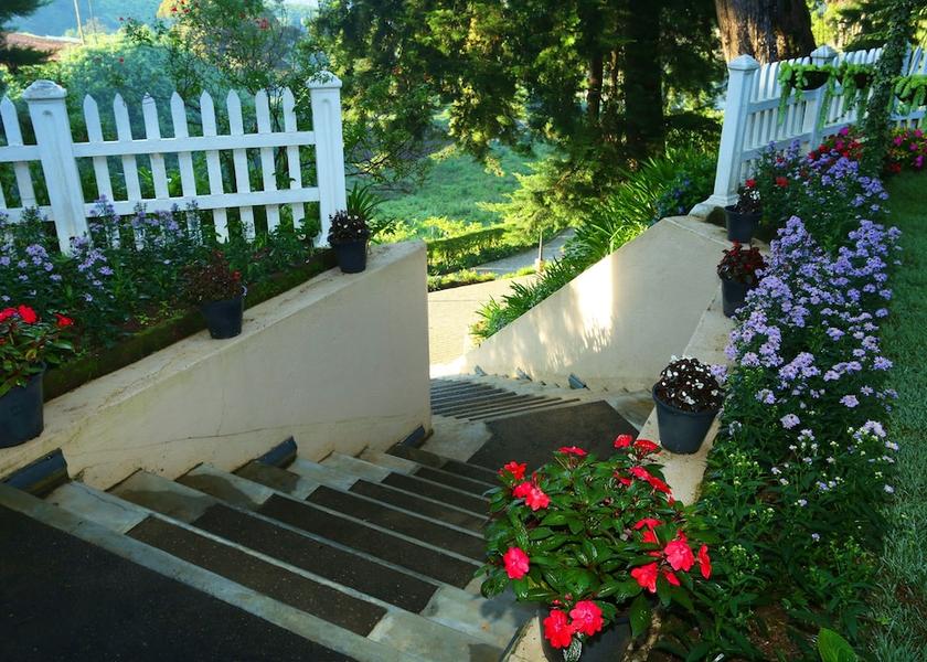 Nuwara Eliya District Nuwara Eliya View from Property