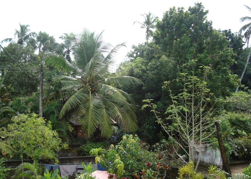 Southern Province Bentota Room