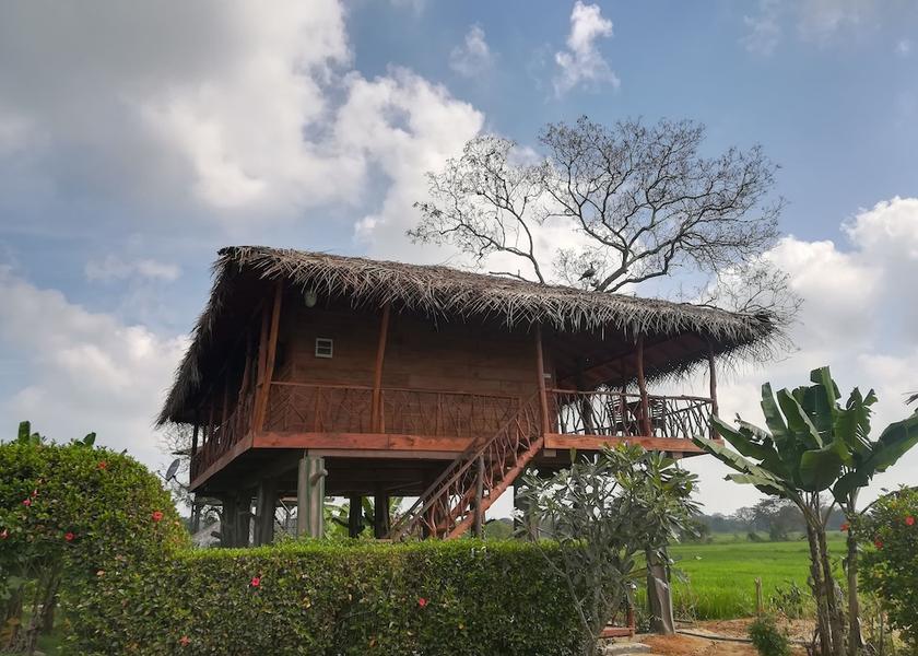 Central Province Sigiriya View from room