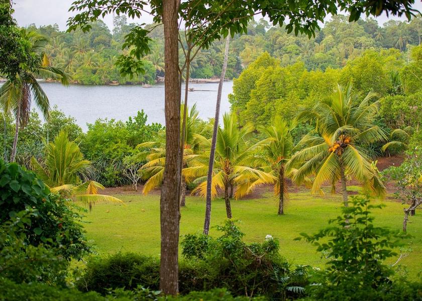 Galle District Balapitiya Garden