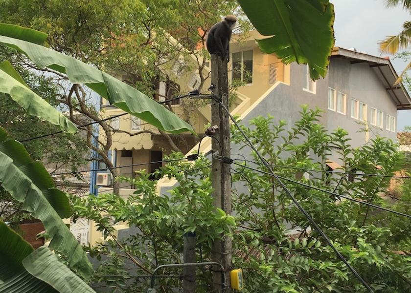 Southern Province Galle View from property