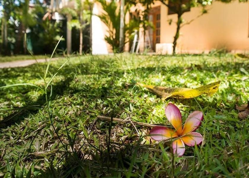 Galle District Galle Property Grounds