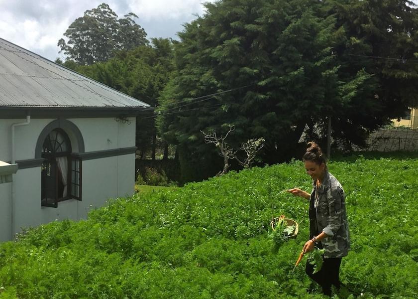 Nuwara Eliya District Nuwara Eliya Garden