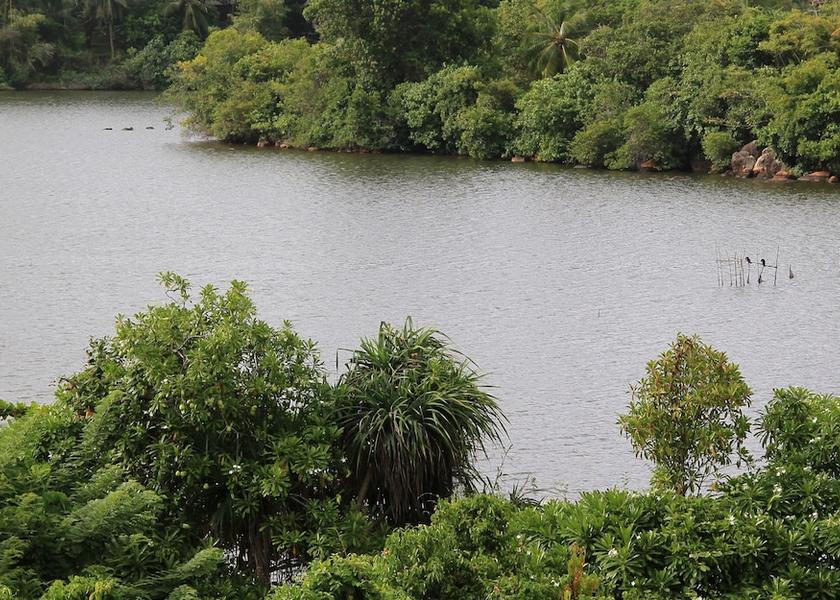 Southern Province Hikkaduwa Lake view