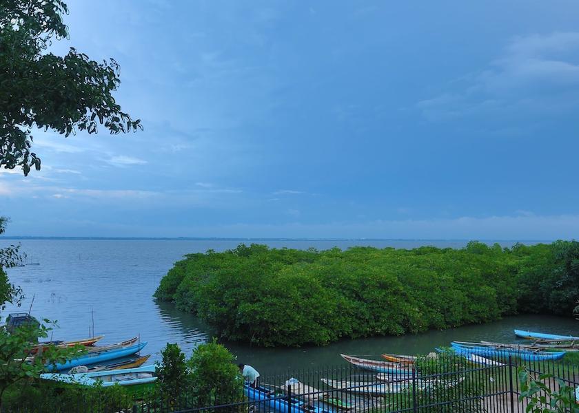 Western Province Negombo Boating