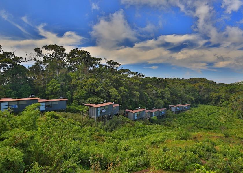 Southern Province Deniyaya Garden view