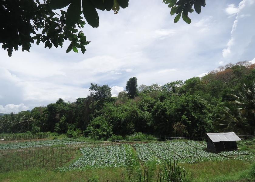 North Central Province Anuradhapura View from property
