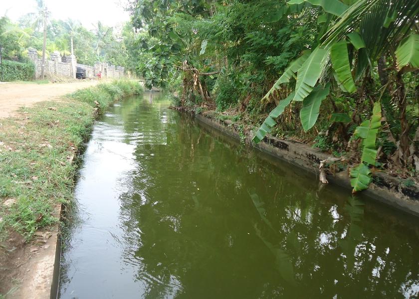 Anuradhapura District Anuradhapura Exterior Detail