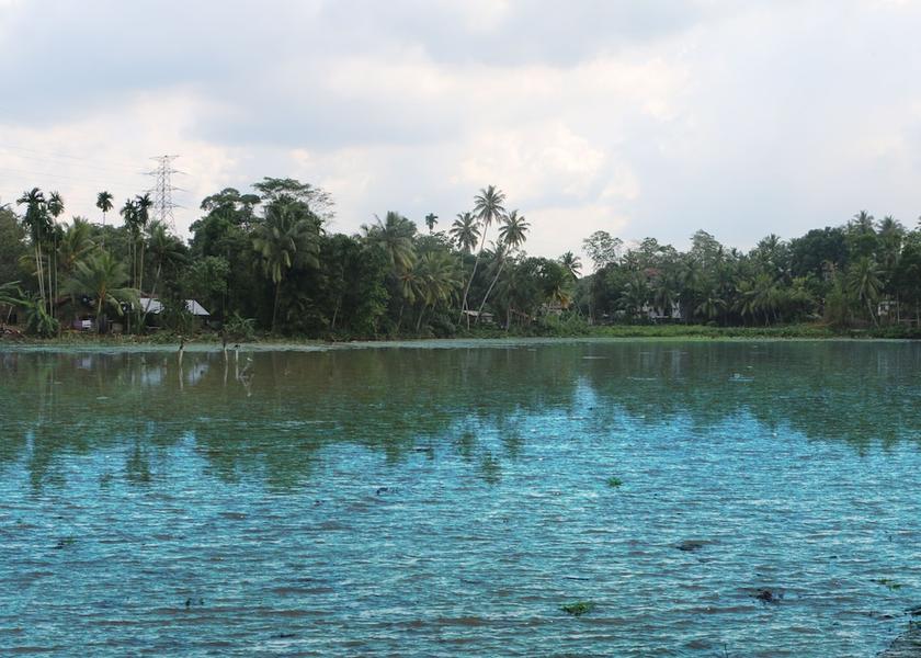 Gampaha District Ragama Aerial View