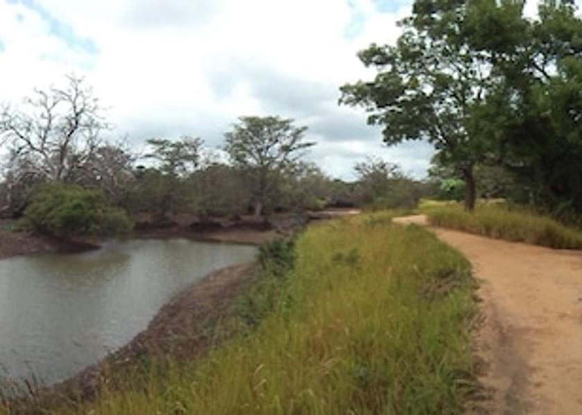 Anuradhapura District Habarana Property Grounds