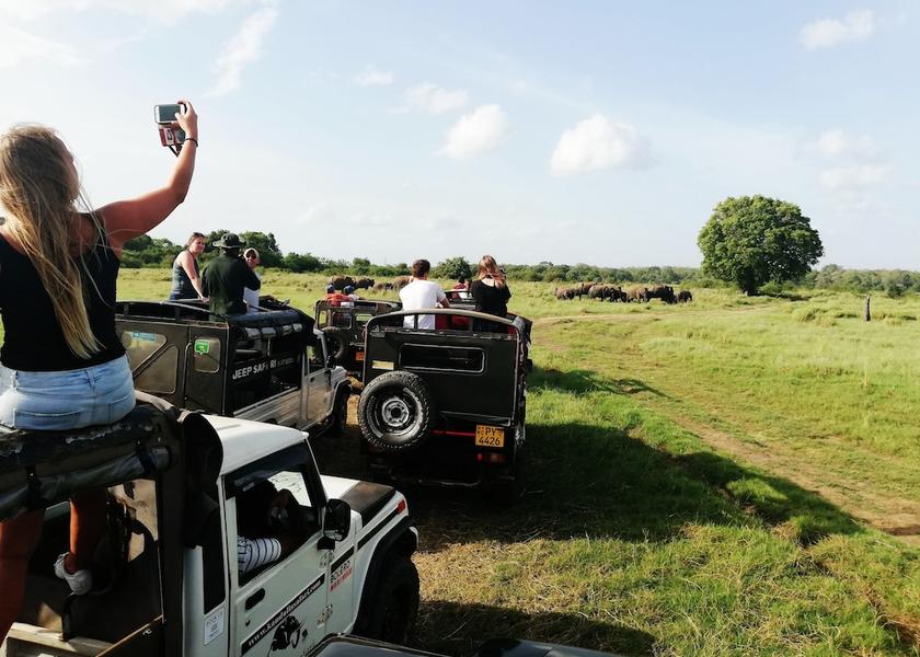 Anuradhapura District Anuradhapura Ecotours
