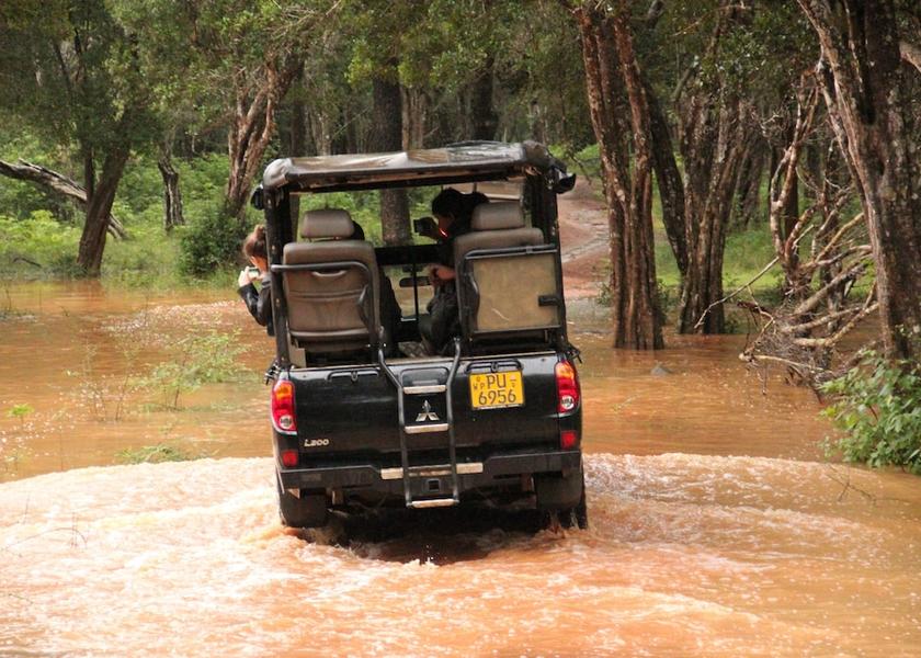 Anuradhapura District Nochchiyagama Safari and game