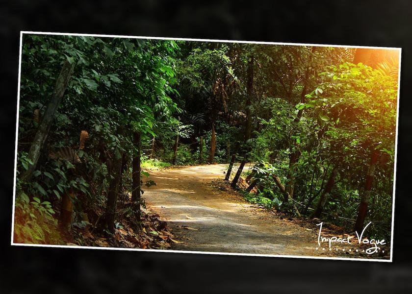 Central Province Kandy Entrance