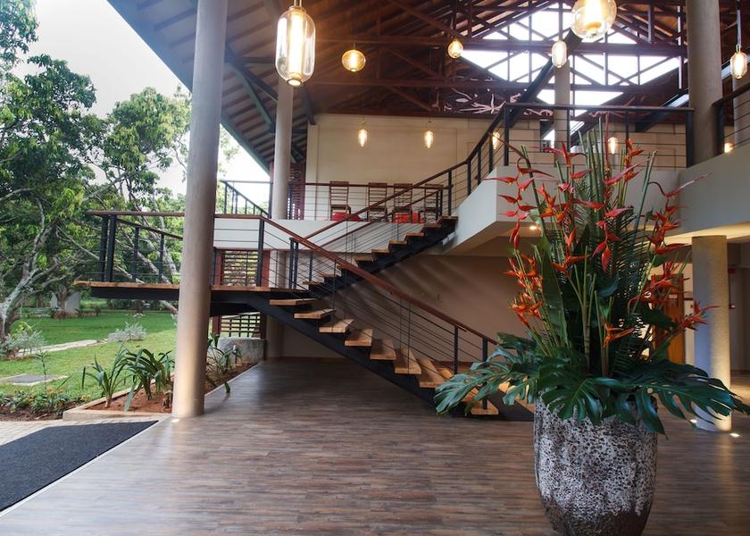 Central Province Dambulla Interior