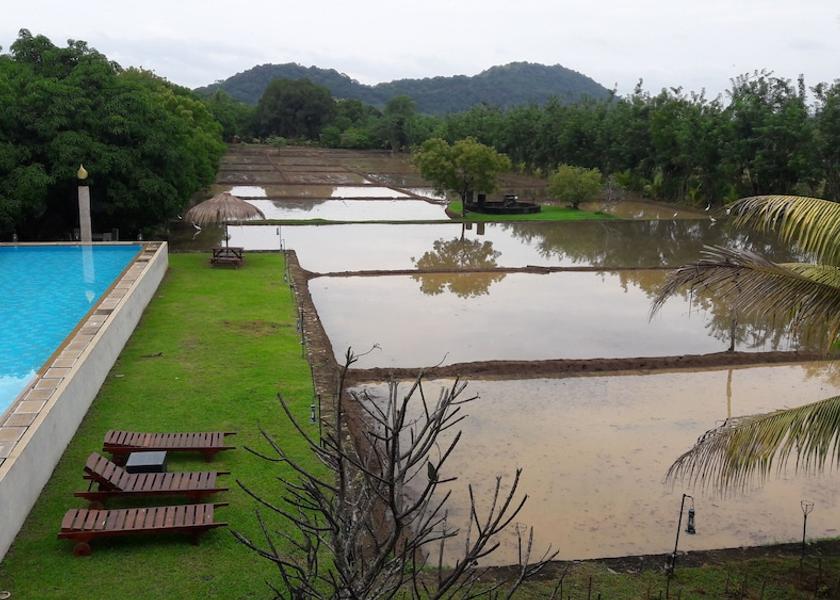 Central Province Dambulla Front of property